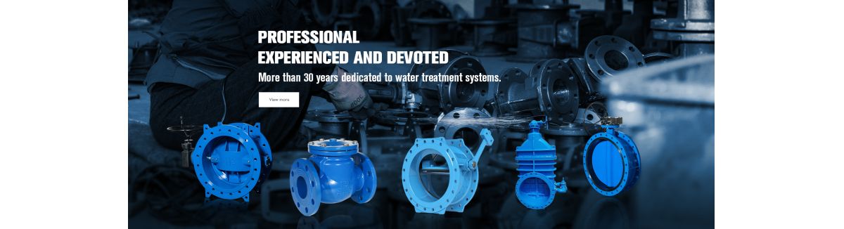 Hebei Disai Valve Co., Ltd.