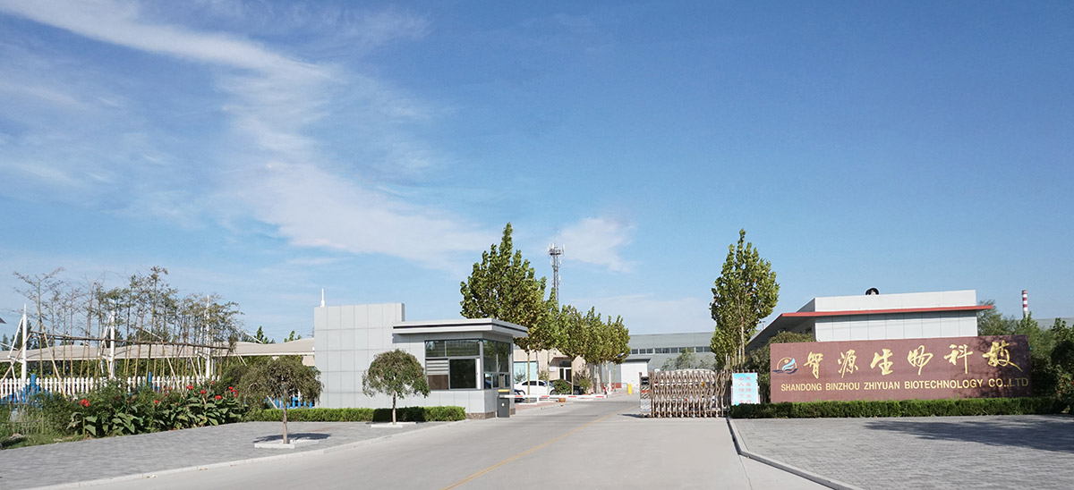 Shandong Binzhou Zhiyuan Biotechnology Co., Ltd.