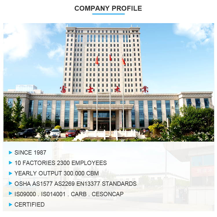 fushi company profile