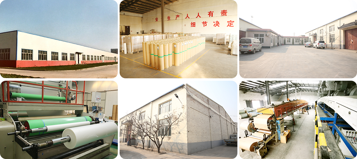 Shijiazhuang Good Film New Material Co., LTD