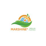 Hebei Marshine New Material Technology Co., Ltd.